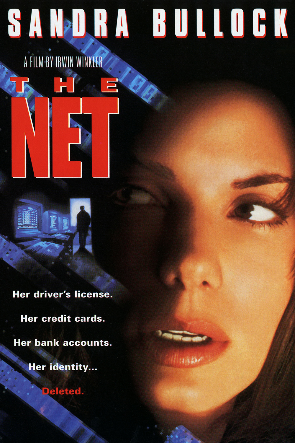 The Net: intrappolata nella rete